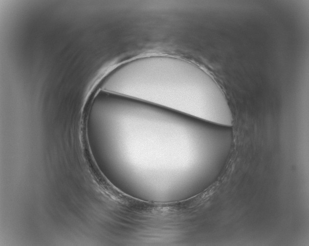X0000056320152200509231956