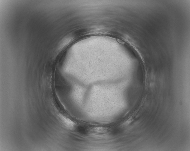 X0000056320153200509231956