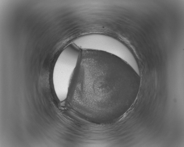 X0000056320154200509231956