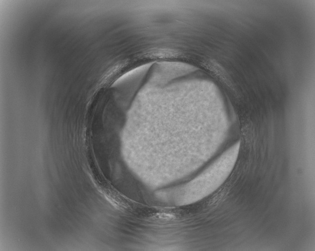 X0000056320159200509231956