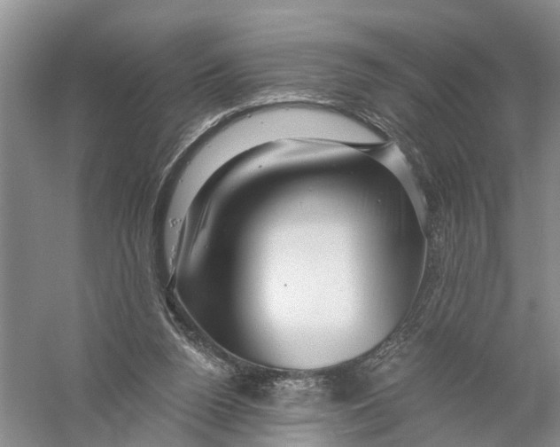 X0000056320160200509231956