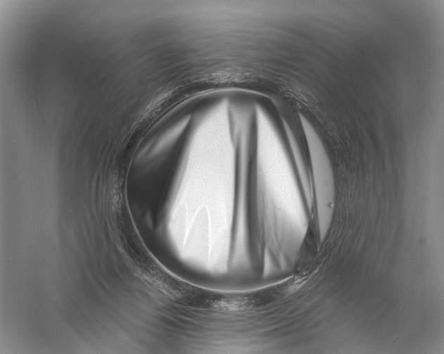 X0000056320164200509231956