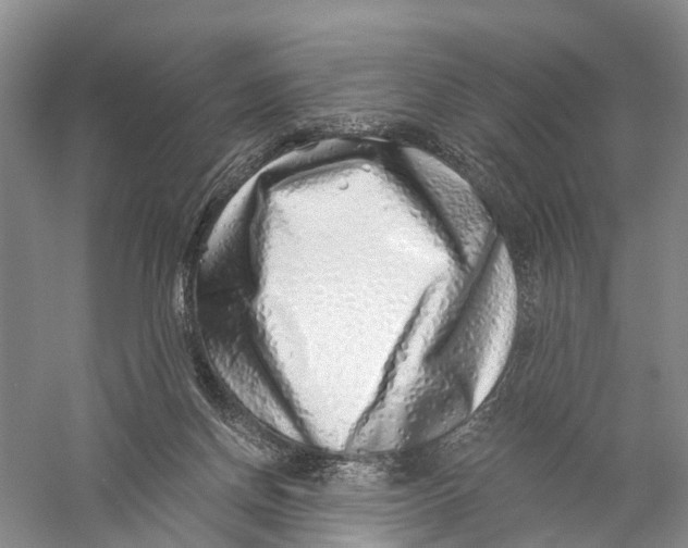 X0000056320166200509231956