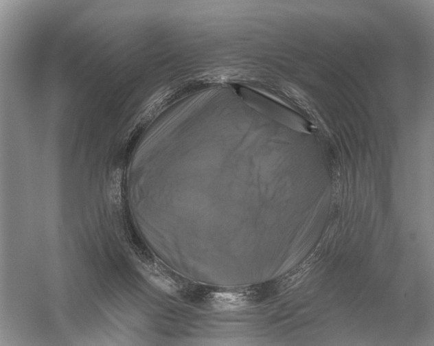 X0000056320167200509231956