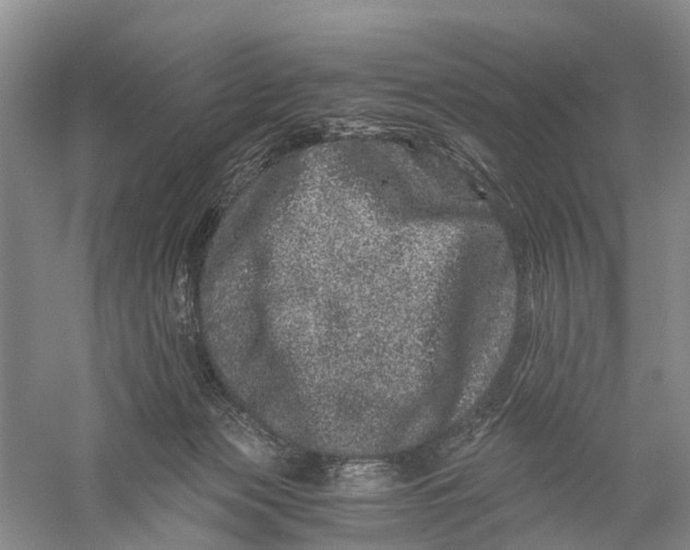 X0000056320173200509231956
