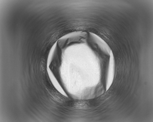 X0000056320175200509231956
