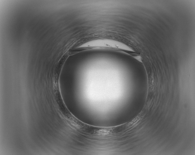 X0000056320176200509231956