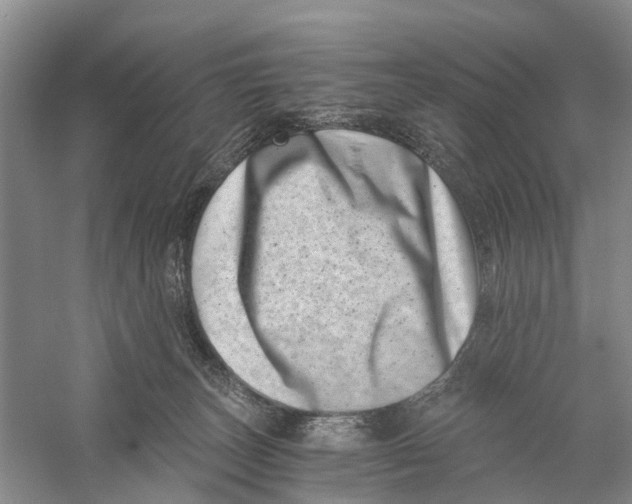 X0000056320179200509231956