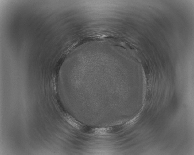 X0000056320182200509231956