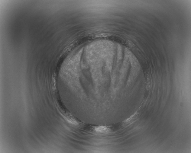 X0000056320183200509231956