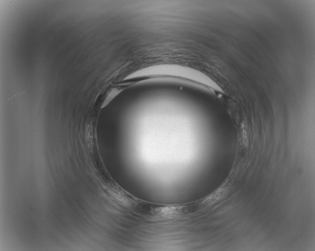 X0000056320184200509231956