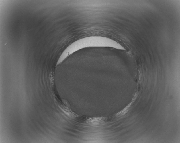 X0000056320186200509231956