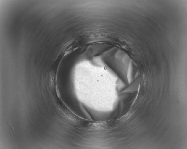 X0000056320188200509231956