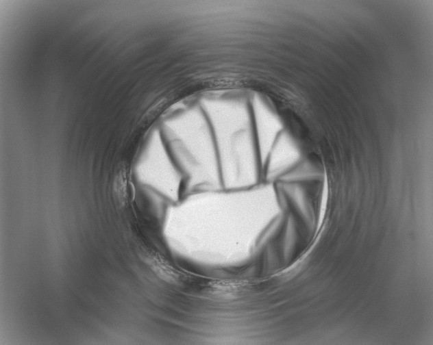 X0000056320190200509231956