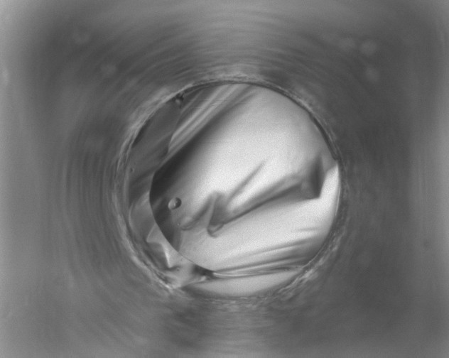 X0000056320193200509231955