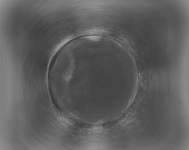 X0000056320196200509231955