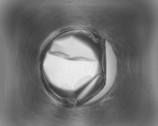 X0000056320197200509231955