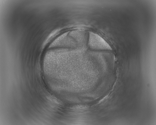 X0000056320198200509231955