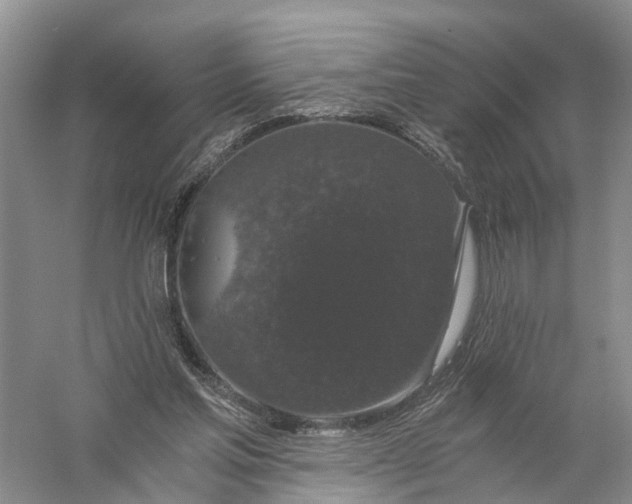 X0000056320205200509231955