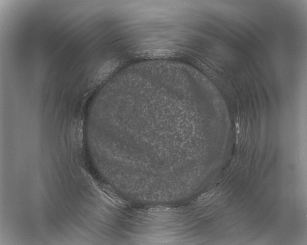 X0000056320206200509231955