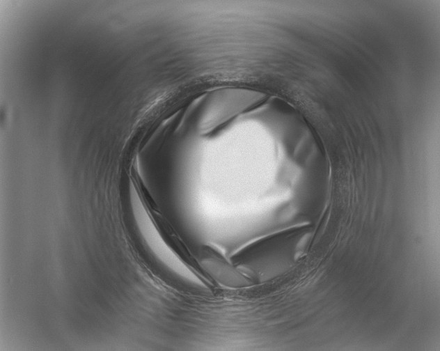 X0000056320207200509231955