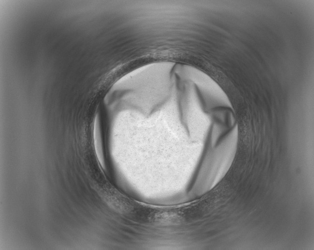 X0000056320208200509231955