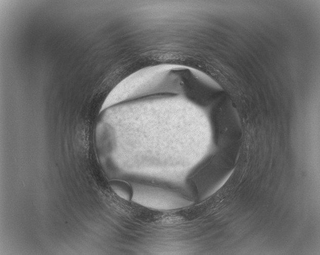 X0000056320210200509231955