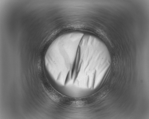 X0000056320212200509231955