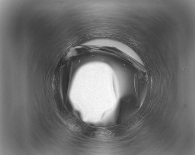 X0000056320215200509231955
