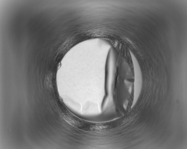 X0000056320217200509231955