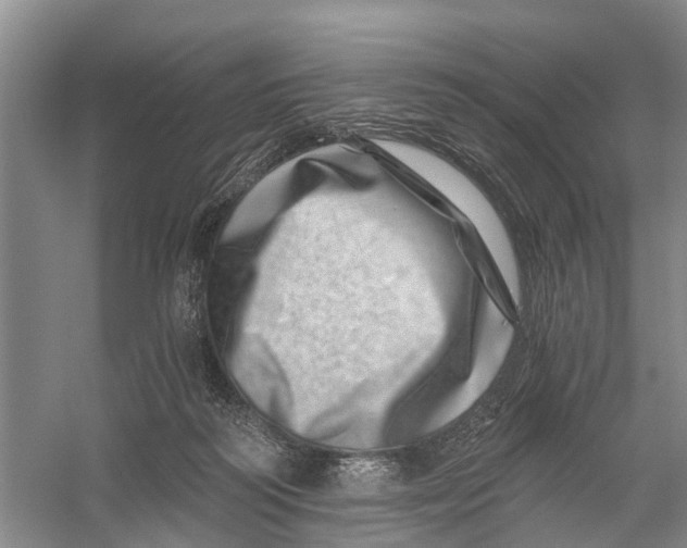 X0000056320218200509231955