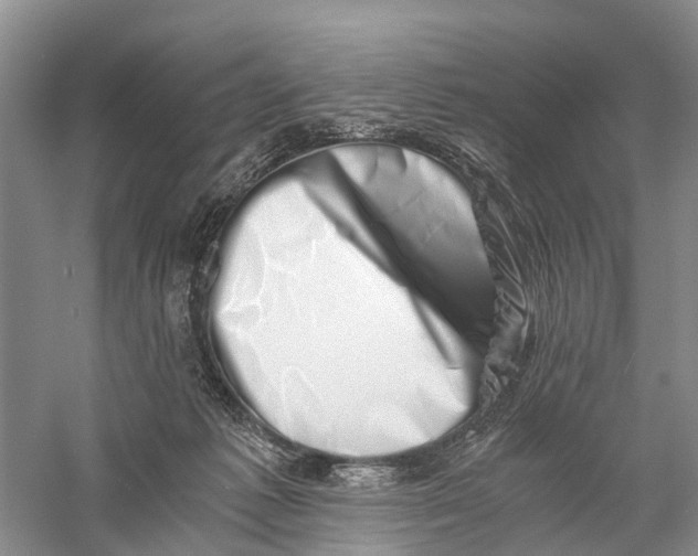 X0000056320221200509231955