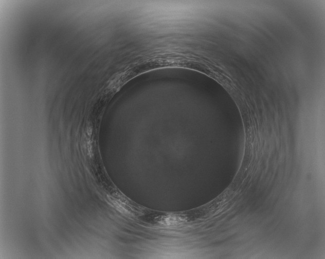 X0000056320223200509231955