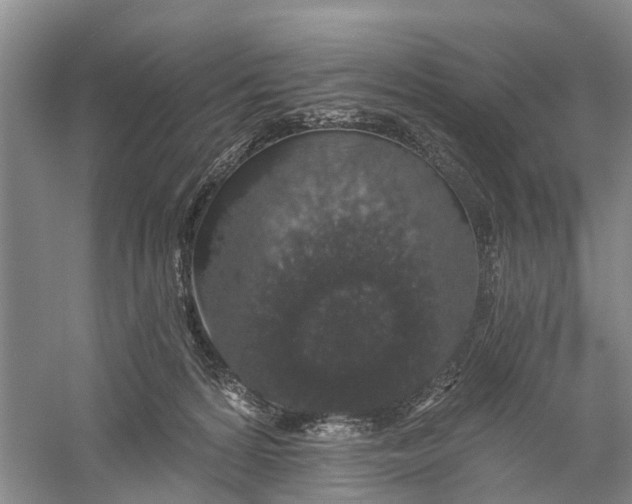 X0000056320224200509231955