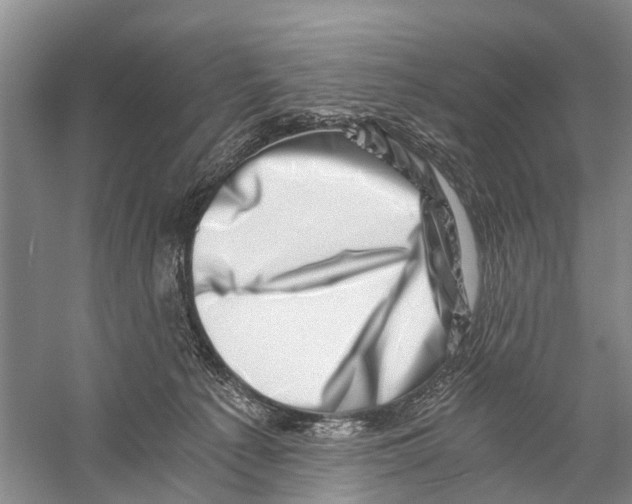 X0000056320225200509231955