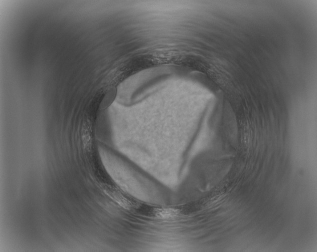 X0000056320226200509231955