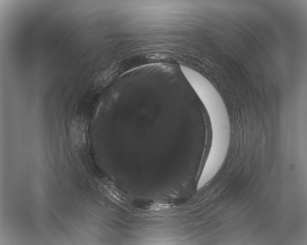 X0000056320227200509231955