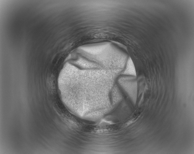X0000056320228200509231955