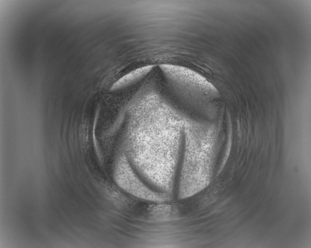X0000056320230200509231955