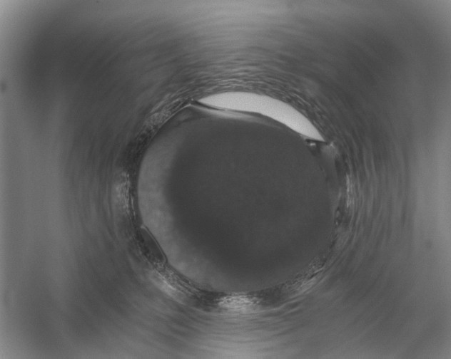 X0000056320231200509231955