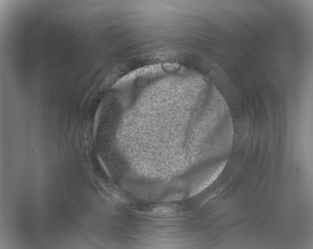 X0000056320236200509231955