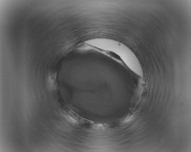 X0000056320239200509231955