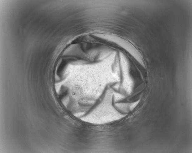 X0000056320241200509231954