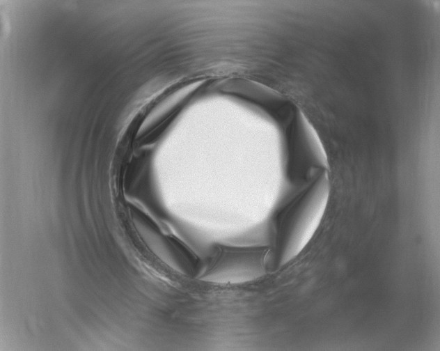 X0000056320242200509231954