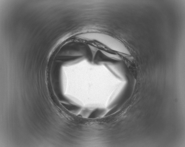 X0000056320244200509231954