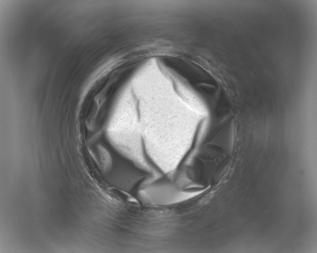 X0000056320245200509231954