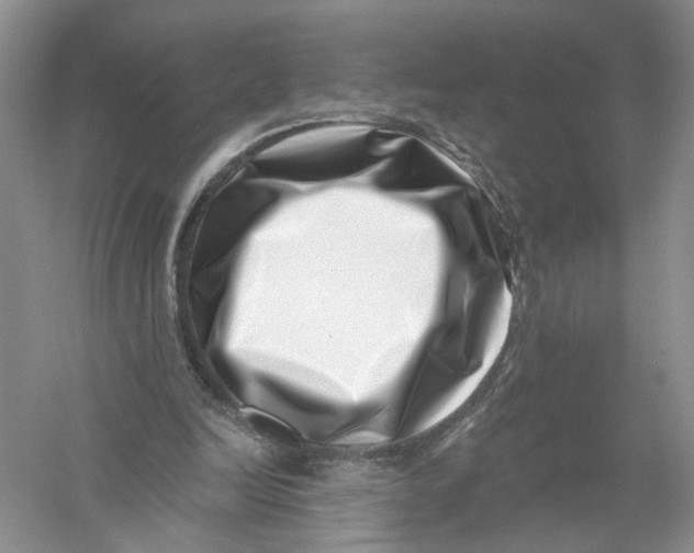 X0000056320246200509231954