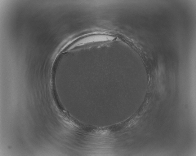 X0000056320247200509231954