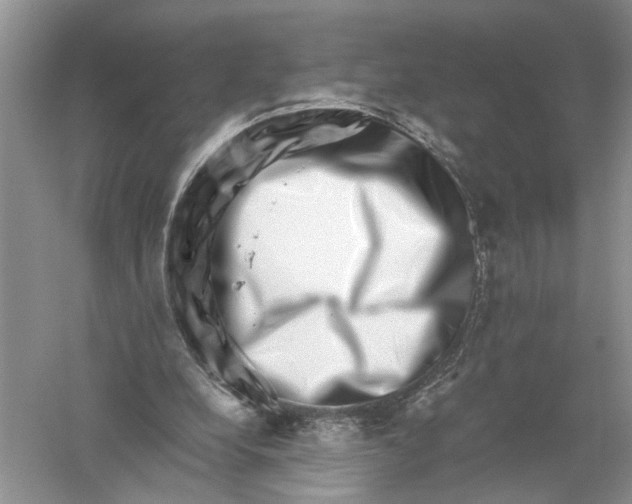 X0000056320248200509231954