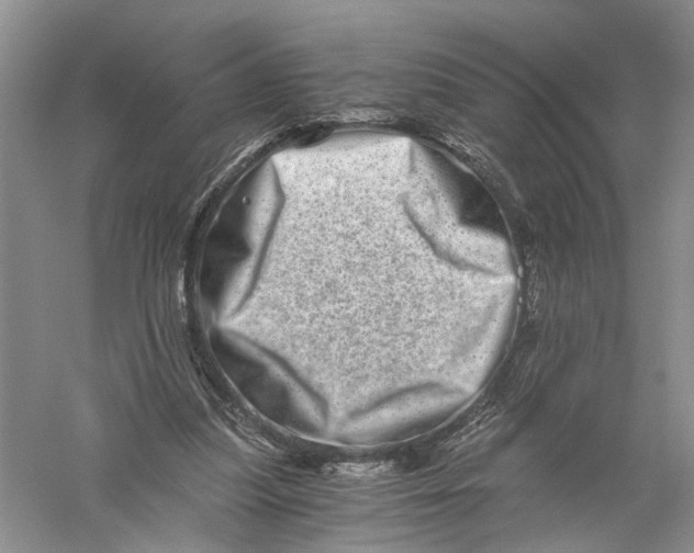 X0000056320251200509231954